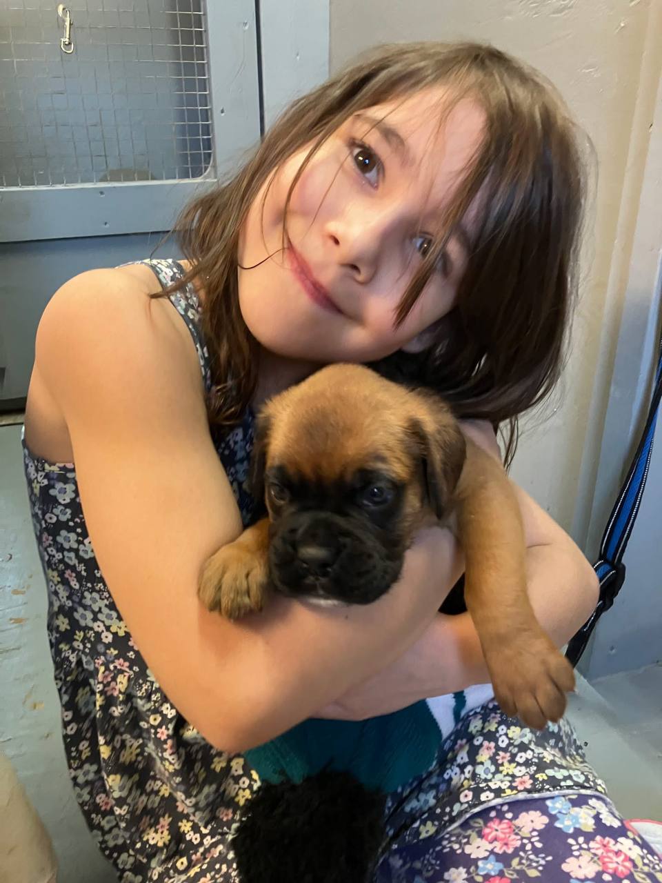 Family with Boxer Puppy