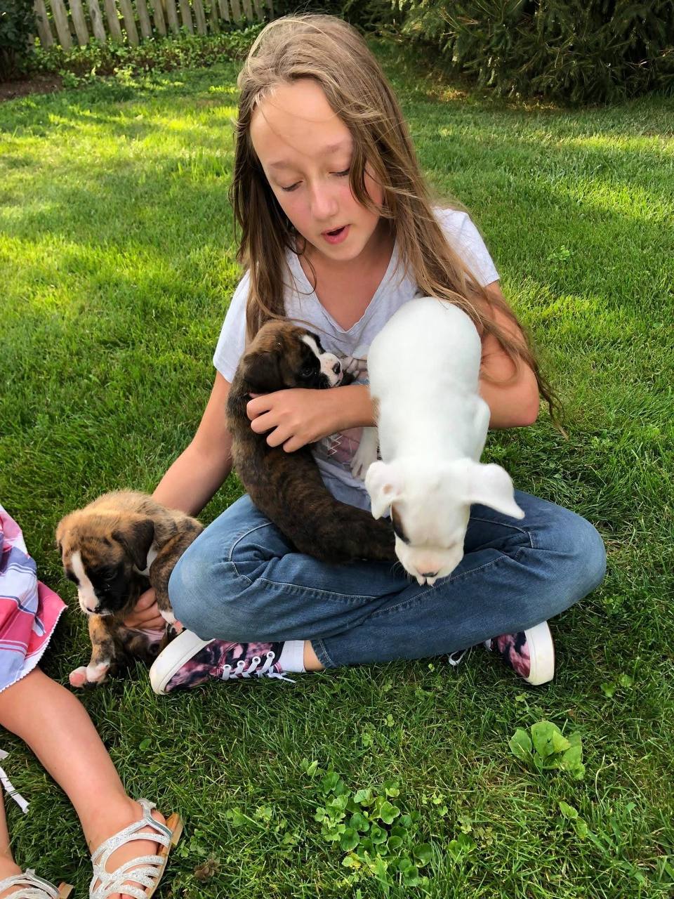 Family with Boxer Puppy